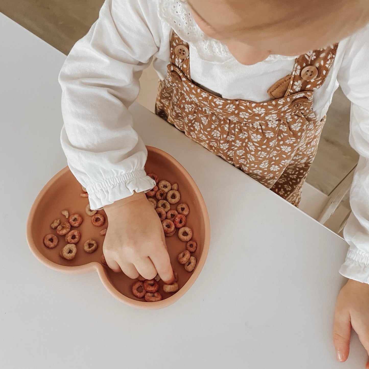 Heart Suction Dish